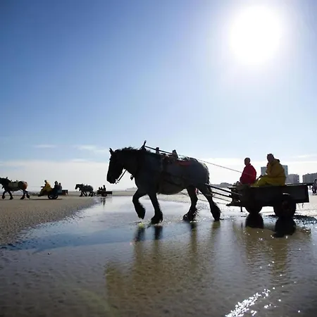 Lägenhet In By The Beach, Cleaning Included Nieuwpoort